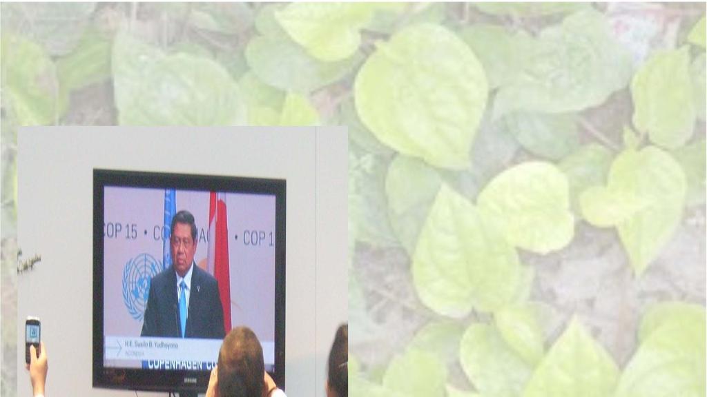VOLUNTARY BASED EMISSION REDUCTION TARGET 26% BY 2020 Indonesia s Pledge for Emission Reduction* Statement by President Soesilo Bambang Yudhoyono We are