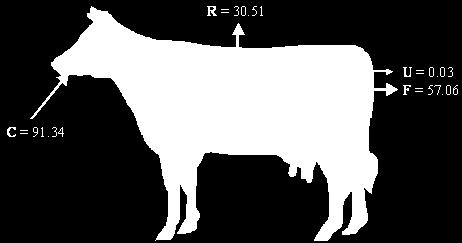 Q1. The diagram shows the transfer of energy through a cow. The figures are in kj 10 6 year 1.