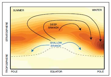 upwelling and higher laetudes downwelling due