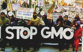 Mobilization of Organized GMO