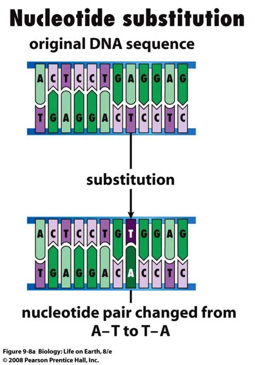 au/education/wehi-tv/dna/ Mistakes and Mutations in DNA Replication Mistakes and