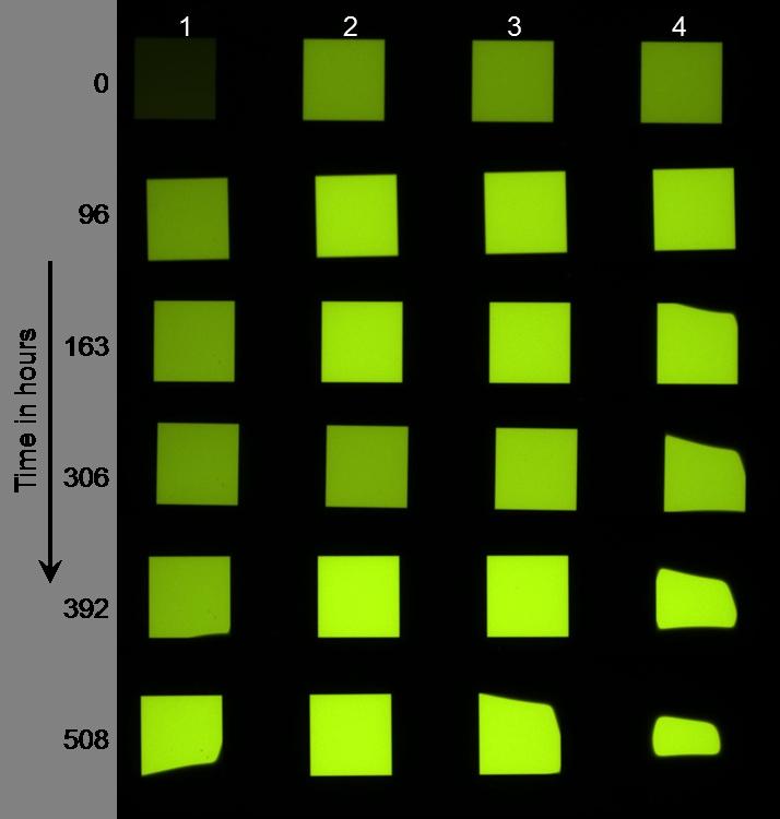 Figure 8.9: Bottom emission of the OLED pixels upon accelerated tests at 85 C and 85% relative humidity. The OLED surface has 5 µm control glass beads acting as control particles.