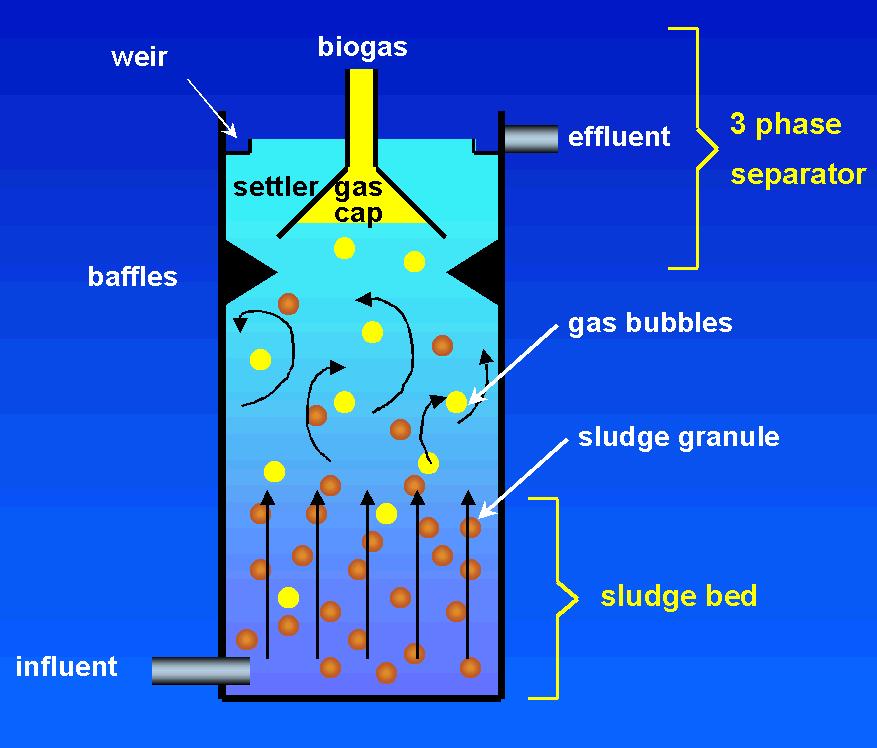Upflow Anaerobic Sludge Blanket (UASB) Reactor Three-phase separation device is the most characteristic feature of UASB reactor.