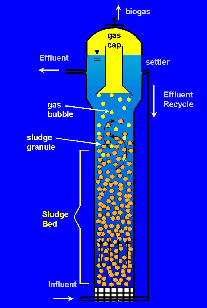 Expanded Granular Sludge Bed (EGSB) Reactor V up =