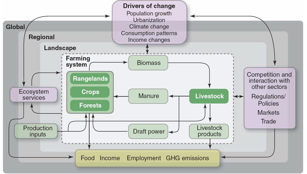 Drivers of Change in the Livestock