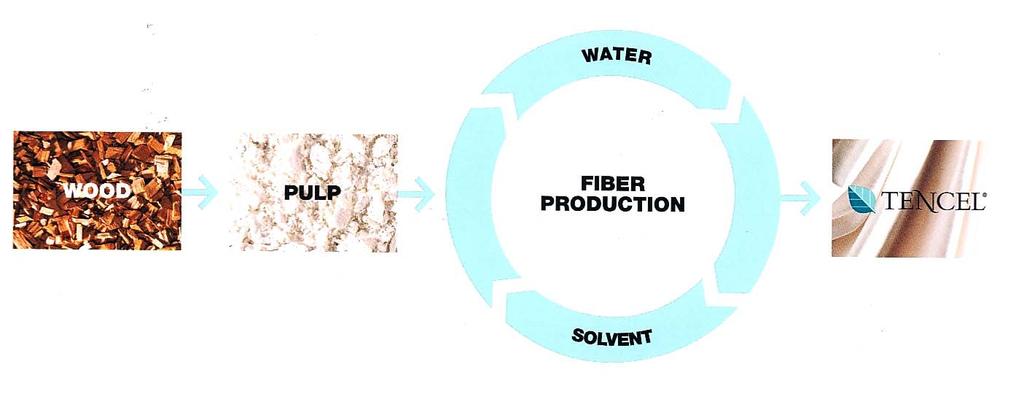Lyocell technology Purest cellulosic fibre available Wood pulp + water + solvent - input TENCEL fibre + water + solvent - output