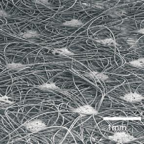 fibres + = Continuous fibres providing The strength of