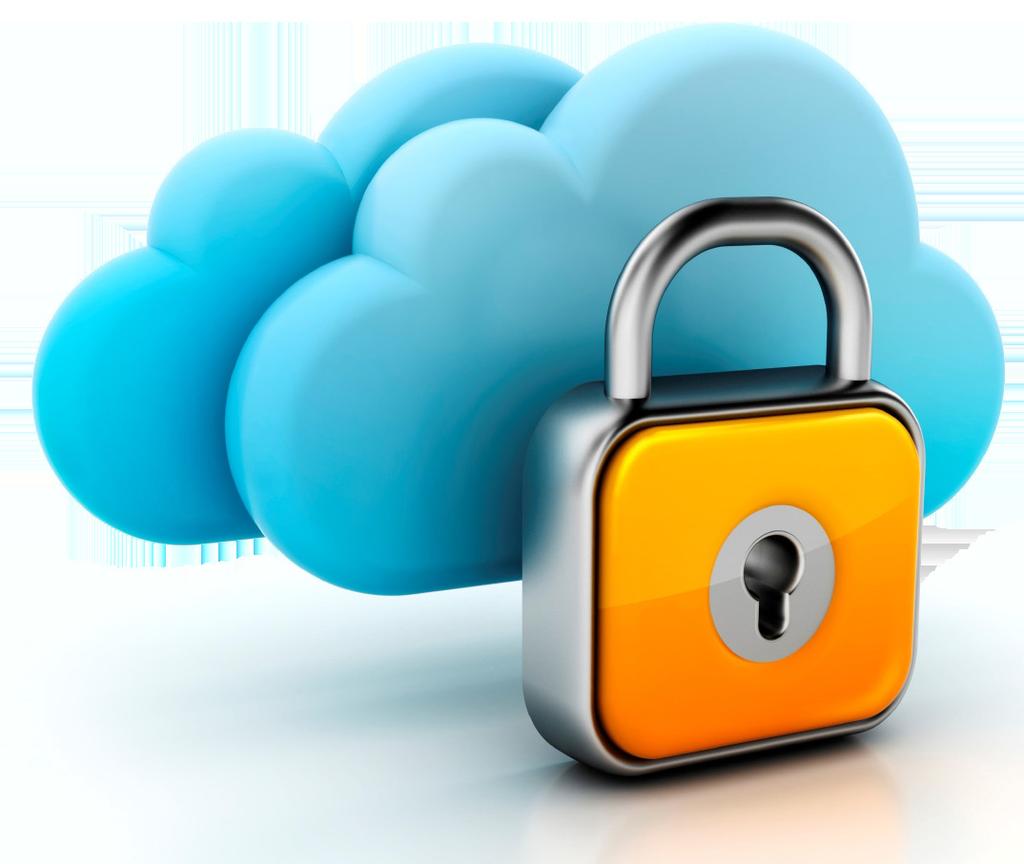 Security: The Elephant in the Cloud Security is the number-one concern for SMBs considering using the public cloud for ERP, so the topic deserves some attention.