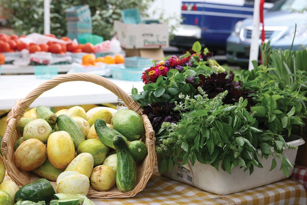 Local Foods: Potential to Build Wealth & Health in Alabama Introduction by Kathryn Strickland, Food Bank of North Alabama Every year Alabamians spend billions of dollars on food.