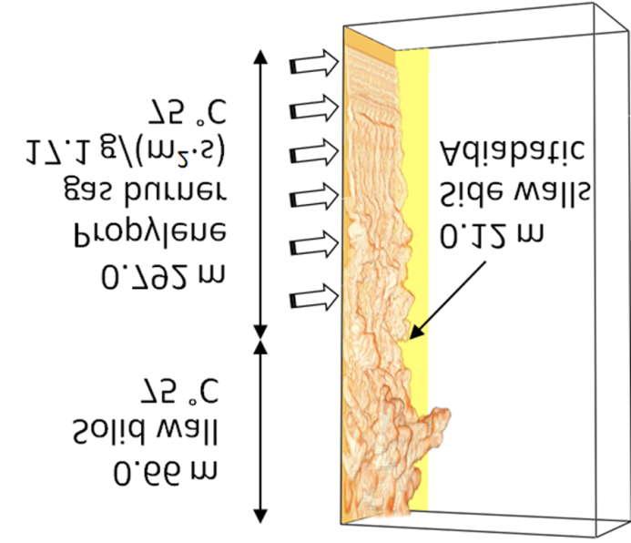 The computational domain (1.512 m high, 0.8 m deep and 0.38 m wide) is shown in Fig. 1. Two 12 cm wide adiabatic side walls are attached to the surface at which gaseous fuel is supplied.