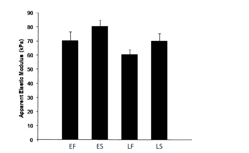 Figure A.1. VSMC apparent elastic moduli measured using a pyramidal probe. E=Early passage, L=Late passage, F=Serum fed, S=Serum starved. Data represent mean ± SE.