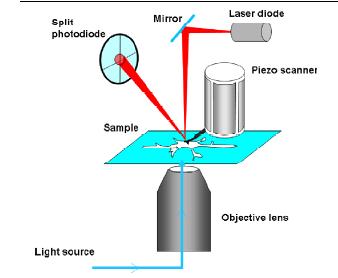 Figure 1.16. Schematic representation of the basic operating components of the atomic force microscope. Adapted from Alessandrini and Facci (2005)[140].