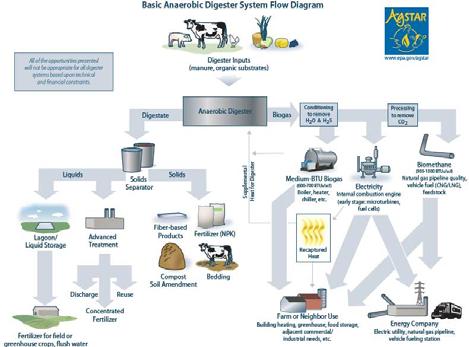 Anaerobic Digestion Biomass + Bacteria + Time = Biogas Definitions: Anaerobic: without oxygen Anaerobic organisms or anaerobes: organisms that do not require oxygen for