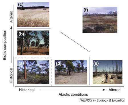 Novel Ecosystems in a Restoration Context