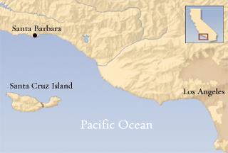 Restoration Case Study: Santa Cruz Island 28