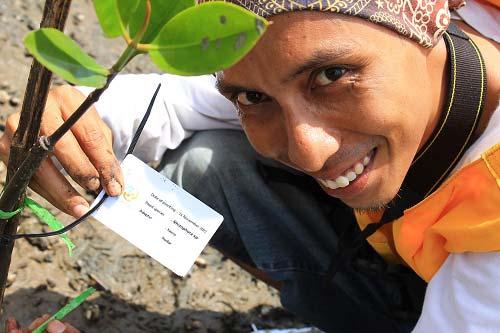 Linking Climate Change with Tourism Mangrove