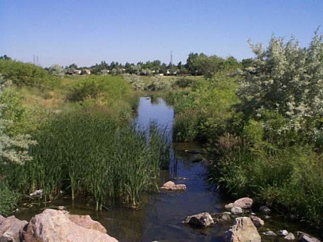 Constructed wetlands differ from natural wetlands, as they are artificial and are built to enhance stormwater quality. Do not use existing or natural wetlands to treat stormwater runoff.