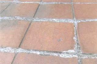 Efflorescence in the construction sector is characterised as an accumulation of calcium crystals and salts