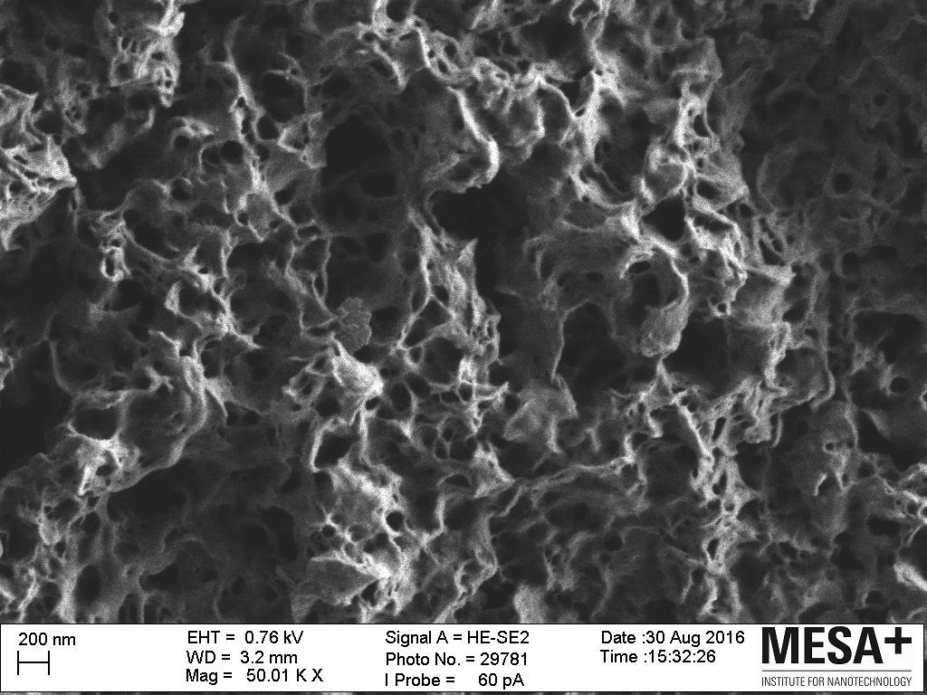 G2 Technology: Unique Cellulose Polymers formed G2 Micro cellulose