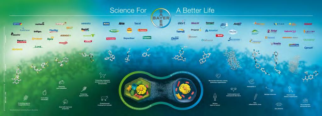 Our Products Bayer: Science For A Better Life Page 3 Group Strategy Our mission Bayer: Science For A Better Life guides our endeavors to address some of today s most pressing global challenges in