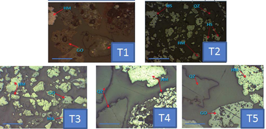 Reinaldo Brandao Gomes et al. Figure 2 Photomicrograph showing minerals present in the different typologies. hematite (HS and HM), magnetite (MG), goethite (GO), quartz (QZ). Bar Scale 0.