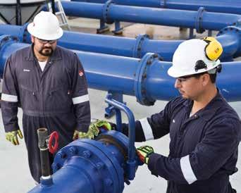 pipeline integrity management services Quest Integrity Group understands the complexities and challenges involved in pipeline inspection projects.