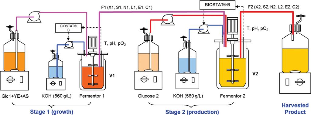 Figure. Two-stage continuous fermentation for omega-3 production by Y. lipolytica. protocols were the same as for the fed-batch fermentation experiments.