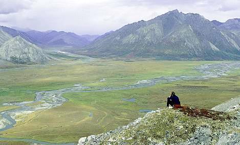 Should the USA drill in ANWR? www.ens-newswire.