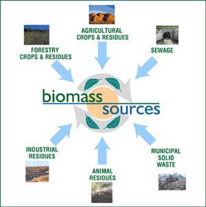 Biomass Biomass includes municipal wastes, crop residues, manure, lumber and paper