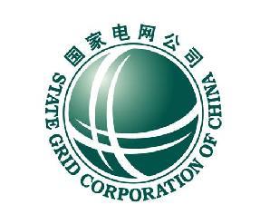 Example Country China Topic: Transformation from energy utility to energy service provider Partner: State Grid Corporation of China Largest utility in the world (1.
