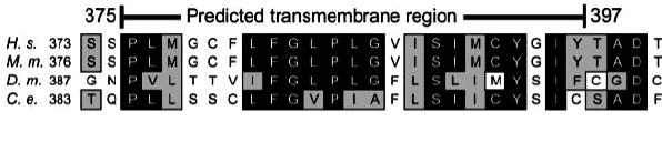 Missing Parts Transmembrane helix