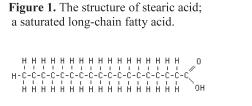 Where Do All These Fatty Acids Come From And What Do They Do to My Cow? What are Fatty Acids?