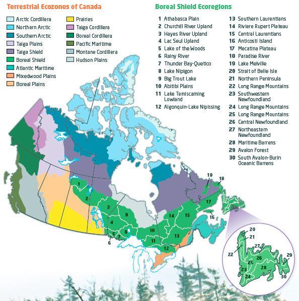 Canada s Ecozones and