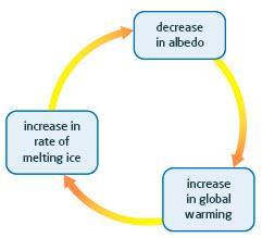 Effects of Feedback Loops on the Earth System A feedback loop is a process in which part of a system s