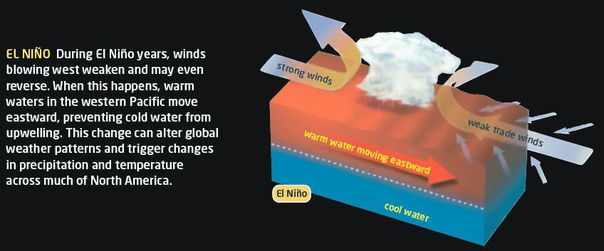 El Niño (Page 318) Water in the eastern