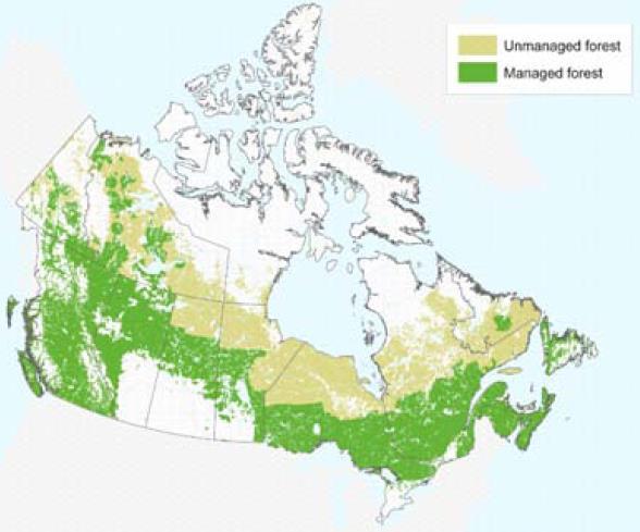 Forests (Natural Carbon Sinks) in Canada (Page 325) http://www.