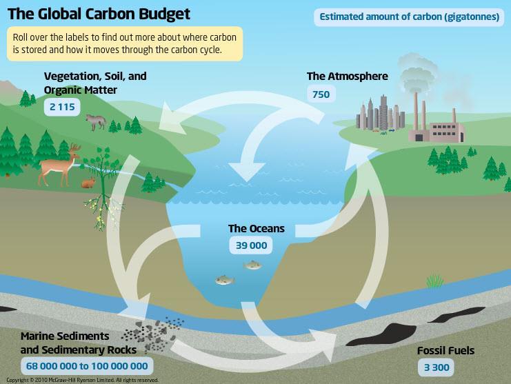 The Global Carbon Budget Click the Start