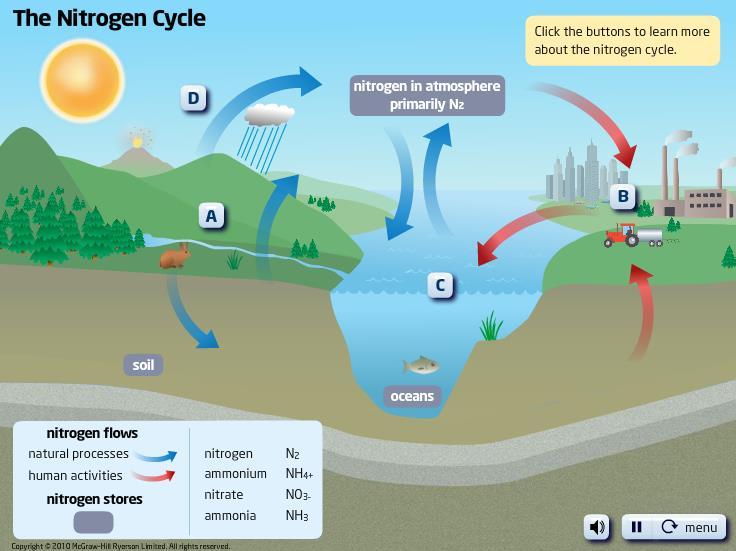 The Nitrogen Cycle Click the Start