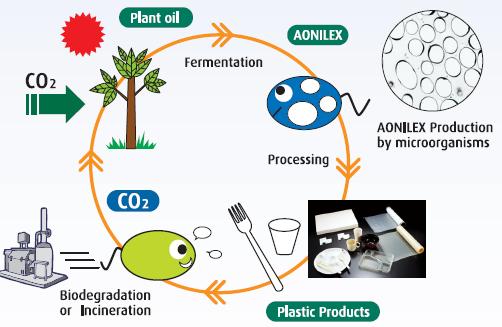 Life Cycle of AONILEX AONILEX is produced by microorganisms in a