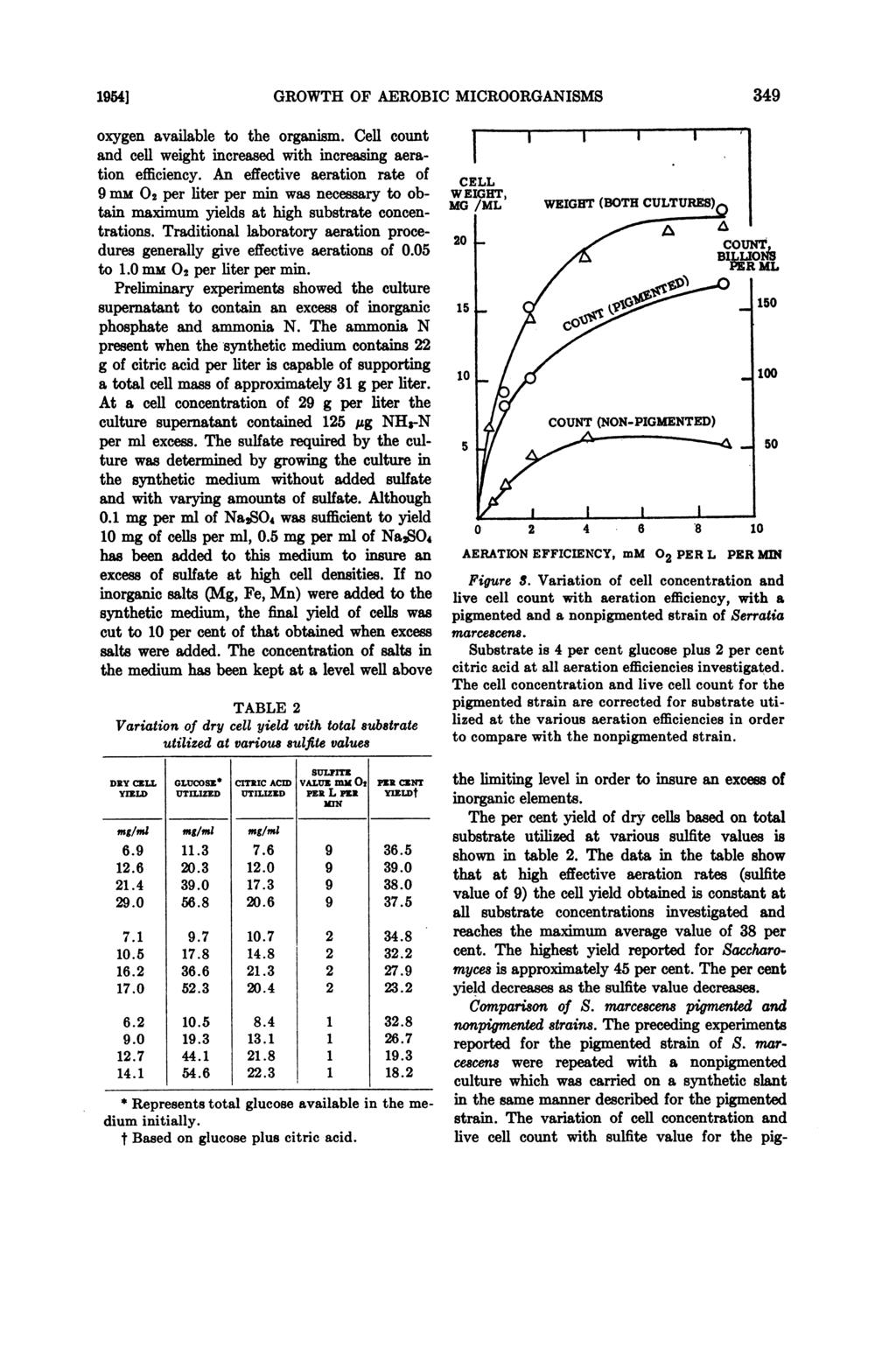 1954] GROWTH OF AEROBIC MICROORGANISMS oxygen available to the organism. Cell count and cell weight increased with increasing aeration efficiency.