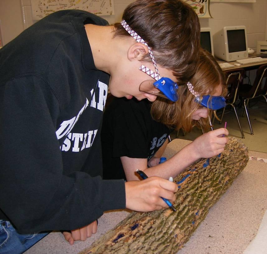 SP 2B: Research Guide Name: Date: Example #2: Dempsey Middle School advanced science 7 th and 8 th grade students in Delaware, OH, working with USDA Forest Service scientists Kathleen Knight and
