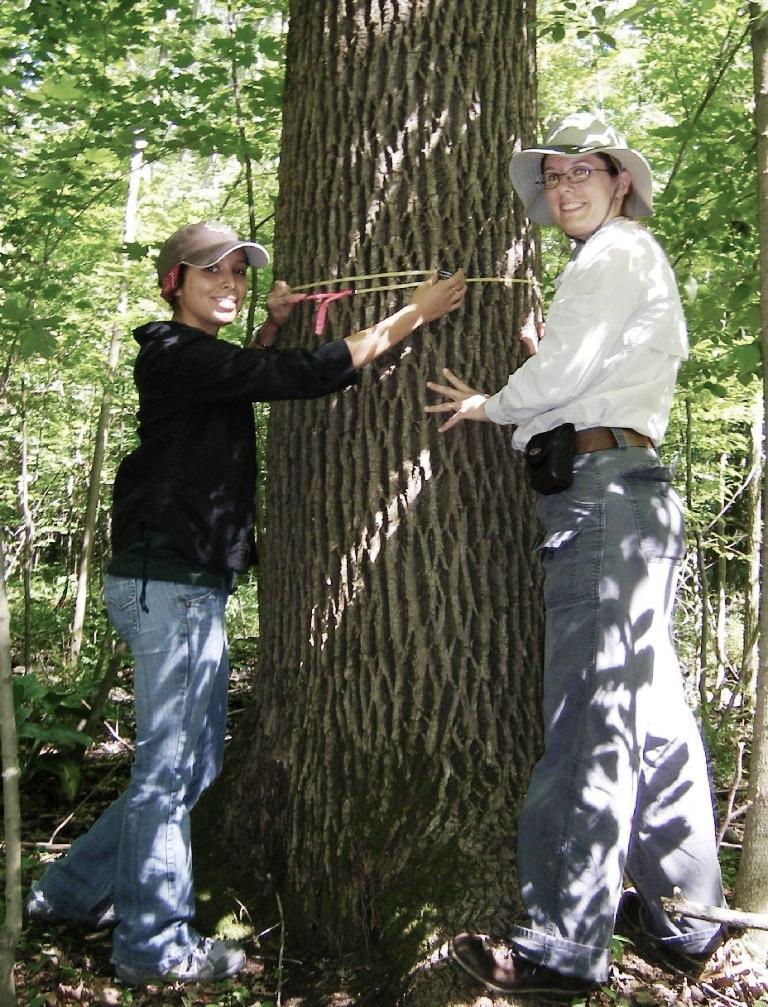 SP 2B: Research Guide Name: Date: Example #4: Dr. Kathleen Knight an ecologist working at the USDA Forest Service, was interested in how fast emerald ash borer kills ash trees in forests.