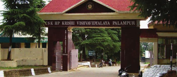 10.3 CSK HimachalPradesh Krishi Vishvavidyalaya, Palampur List of Patents granted/filed: Number of major projects on Biotechnology: 8 Total number of students enrolled in Biotechnology: 15 Total