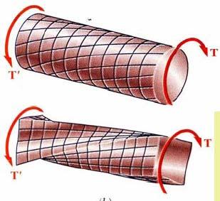 Cross- sections of noncircular ( nonaxisymmetric) shafts are distorted when subjected to