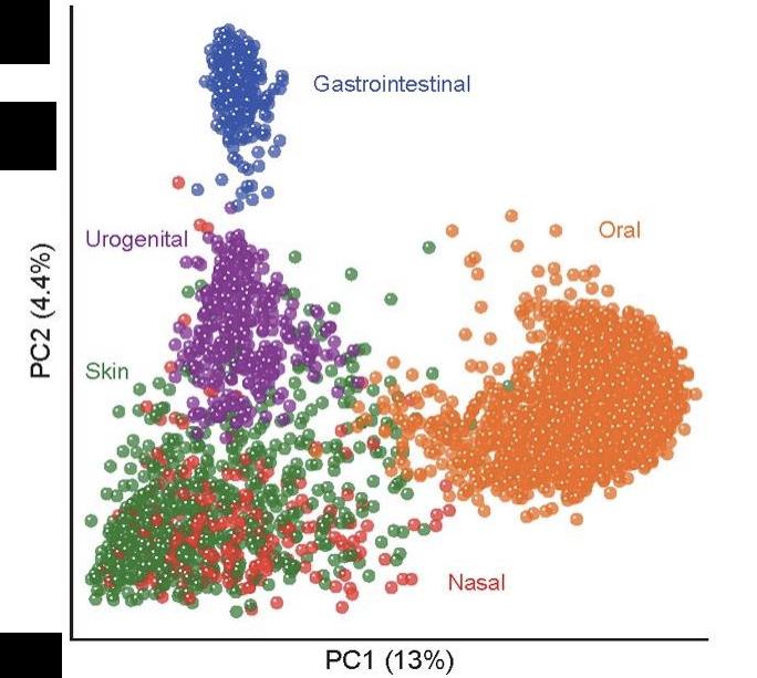 What aspects of a human host most influence microbial community composition?