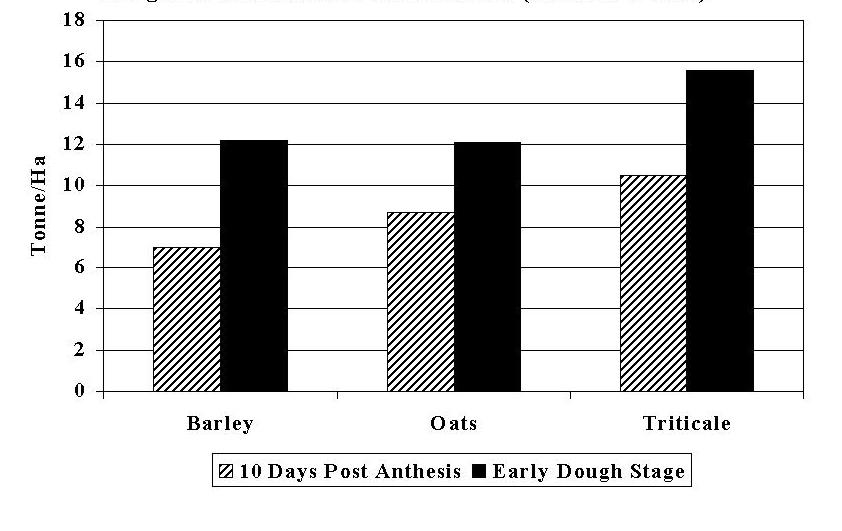 Cereal Silage Options for Western Canada 233 Figure 3. Average silage yield of barley, triticale and oat grown at Lacombe in 1995 and 1996 (Baron et al. 1999).