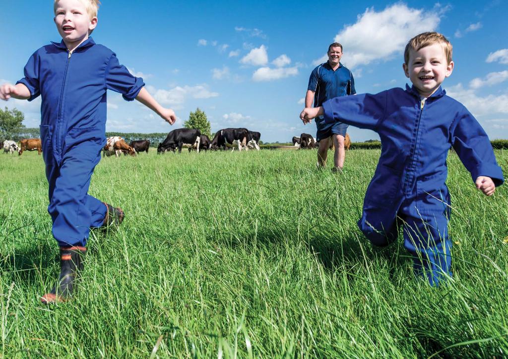 015 We are collaborative, agile and reliable. And we re committed to building the future of specialised dairy.