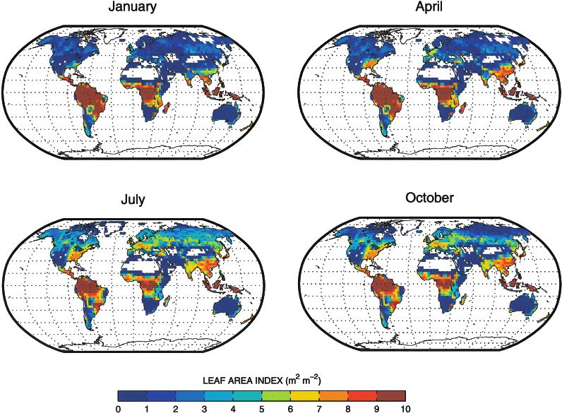 DYNAMIC GLOBAL VEGETATION FOR CLIMATE MODELS 1555 Fig. 7 Monthly leaf area index simulated by LSM DGVM at 200 years. of 2 : 1 or 3 : 1 (Bliss, 2000).
