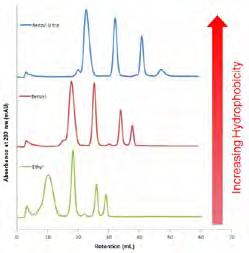 POROS HIC resins are suitable for bind/elute and flow-through applications utilized at lower salt concentrations (Figure 5) for the purification of therapeutic proteins, antibody fragments, antibody