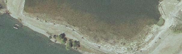 Hylebos peninsula mitigation site - ground level view.